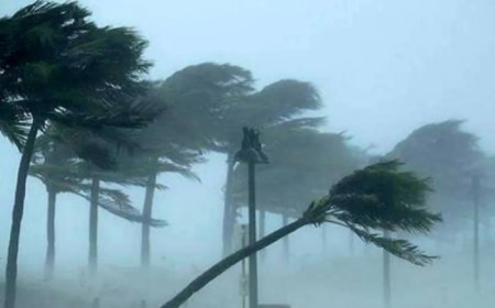 ৭ অঞ্চলে ঝড়ের আভাস