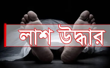 দাউদকান্দিতে অটোরিকশা চালক খুন 