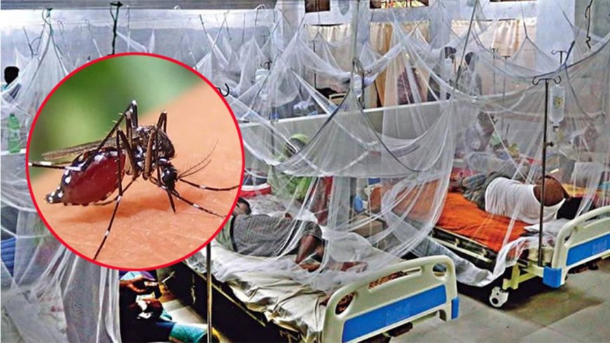 আগস্টে ডেঙ্গুতে প্রাণ গেল ৩৯ জনের