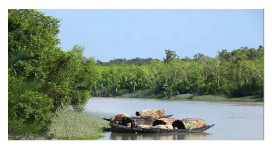 পর্যটক ও বনজীবীদের জন্য উন্মুক্ত সুন্দরবন