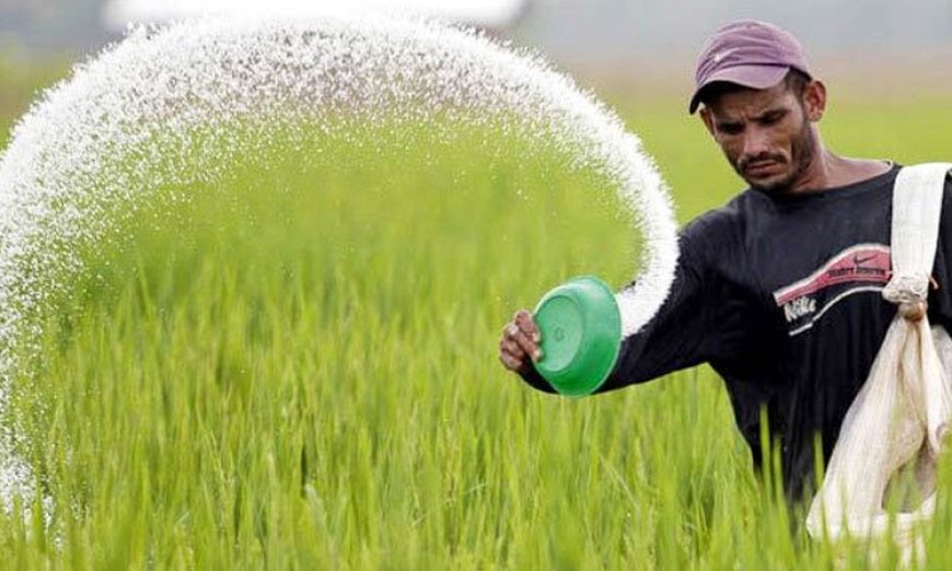 ৪৭২ কোটি টাকায় ৯৫ হাজার টন সার কিনবে সরকার