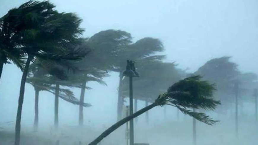 ৯ জেলায় ভারী বর্ষণ