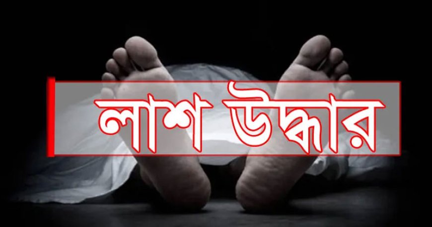 দাউদকান্দিতে অটোরিকশা চালক খুন