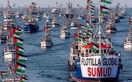 ফ্লোটিলা সদস্যদের আটকের ঘটনায় বাংলাদেশের নিন্দা