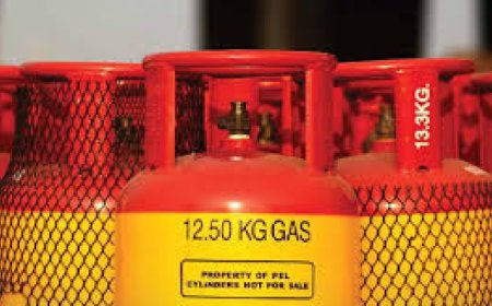 এলপি গ্যাসের নতুন দাম নির্ধারণ কাল