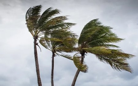 কয়েক জেলায় ঝড়-বৃষ্টির আভাস