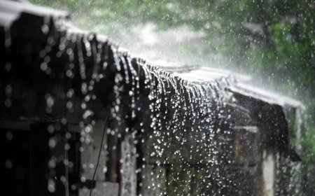 রাজধানীতে বজ্রসহ বৃষ্টির আভাস