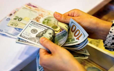 দেশে ২২ দিনে এলো ১৯২ কোটি ডলার রেমিট্যান্স